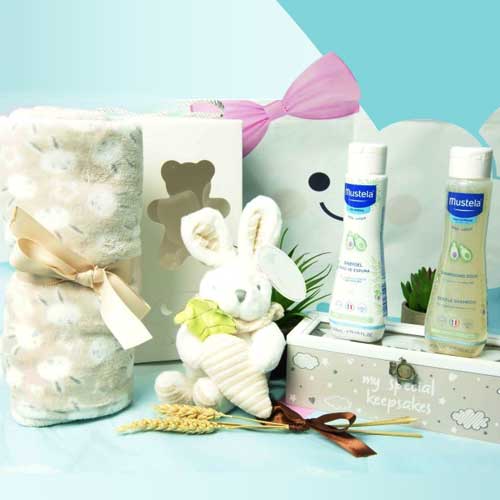 Bunny Gift Set-Newborn Christmas Gifts