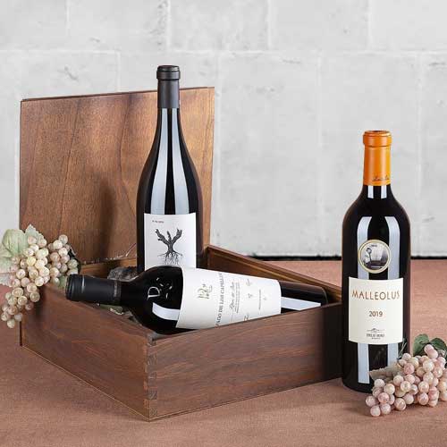 - Festive Christmas Wine Gifts For Family