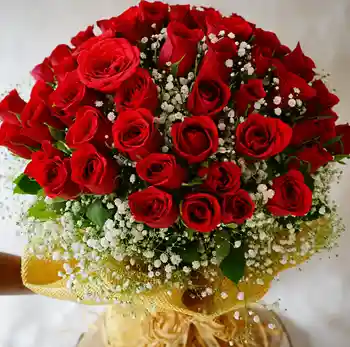 Red Roses